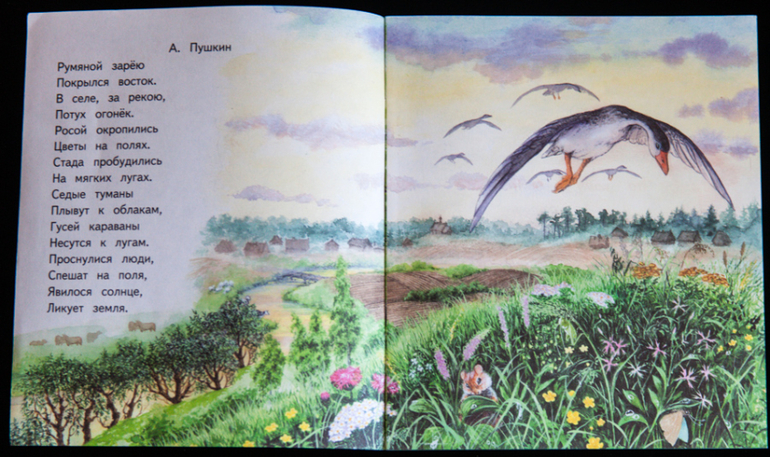 Дешевые книжки от издательств Яблоко и Адонис