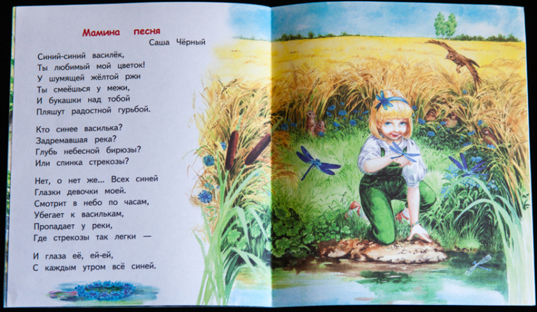 Дешевые книжки от издательств Яблоко и Адонис