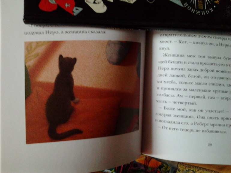 Показ полочек... и не только