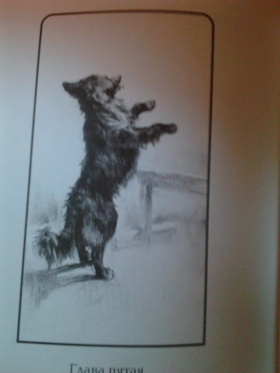 Приобретения ^^