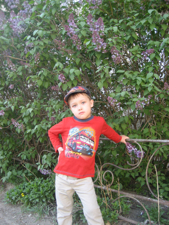 Давайте знакомиться....