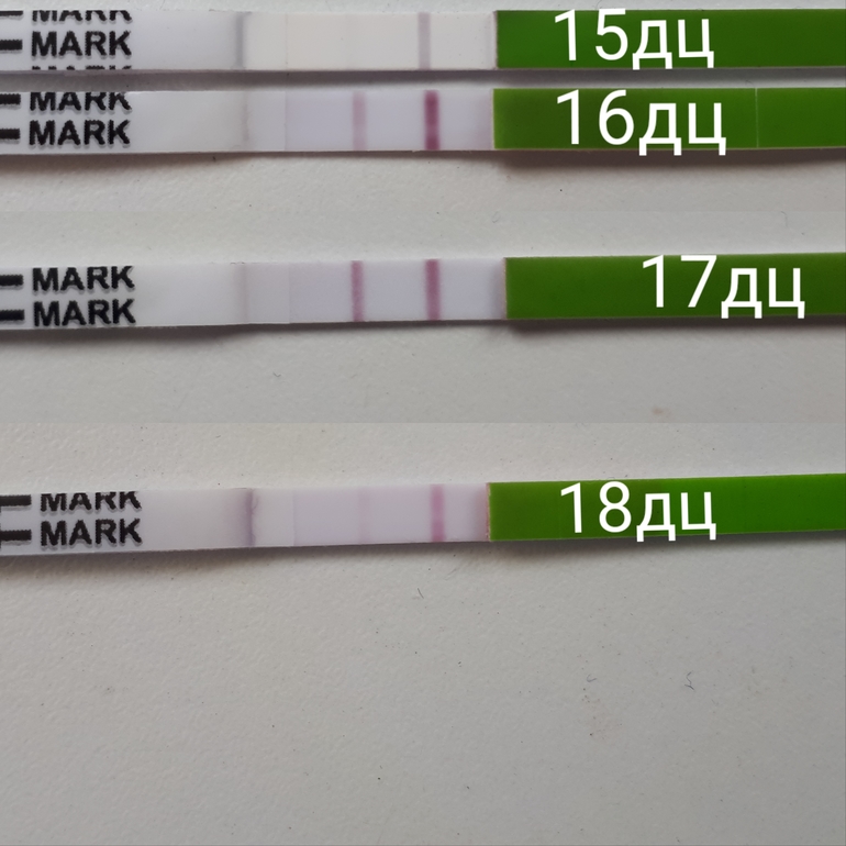 Тест на овуляцию first reply. Тест на второй день после укола хгч 1500. Овуляция при цикле 32 дня. Реал тест на овуляцию инструкция. Овуляция на 17-18 день.