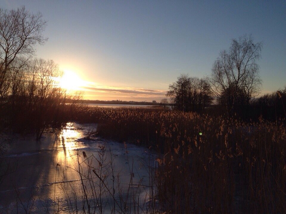 baby jogger city elite