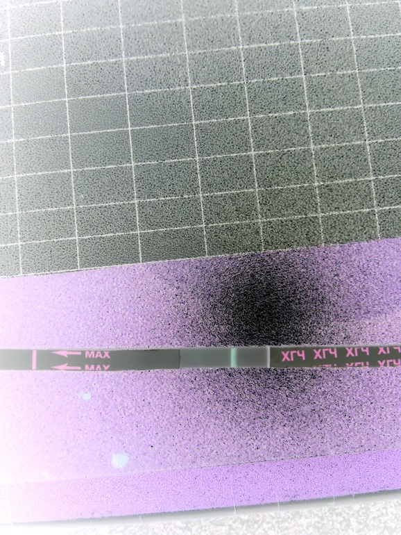 спорим с подругой....