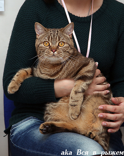 Наш Федерико на выставке))) Вest)))