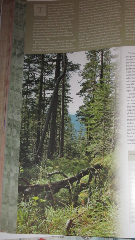 Большая подарочная книга а английском языке