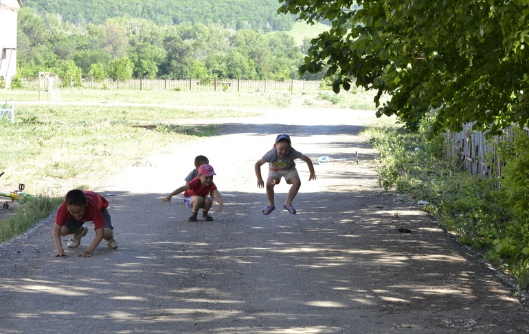 Тематическая неделька ЛЕТО. День третий. Фотоохота на насекомых.