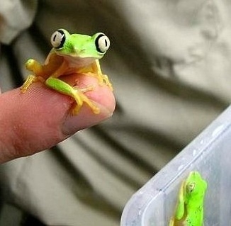 Заманиваю малыша)))