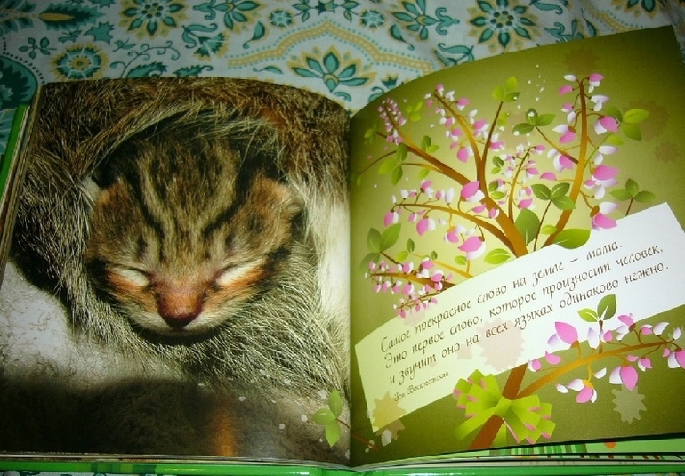 Потрясающие КНИЖКИ-ОТКРЫТКИ для самых близких и родных людей