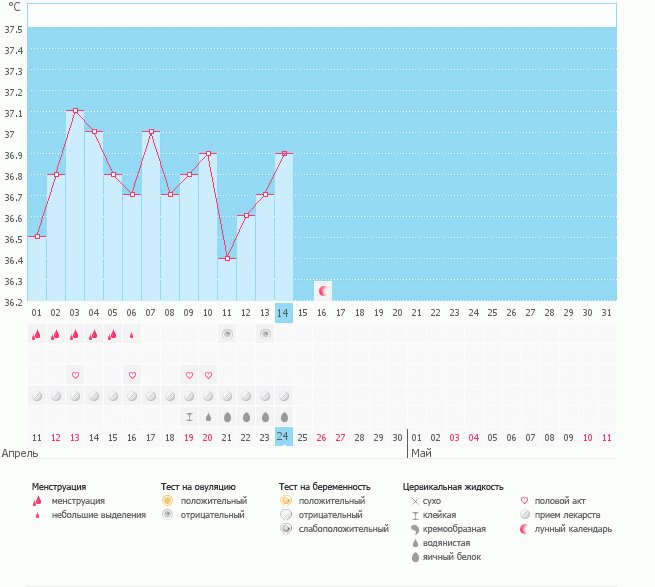 Девочки, нужно ваше экспертное мнение!!!!