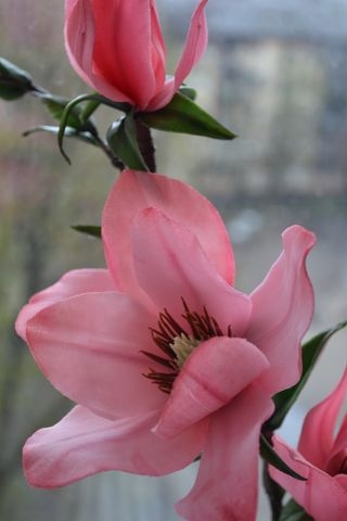 Весенние настроение.......