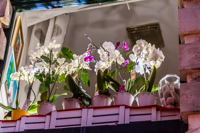 Хорватия. Регата. Рай))