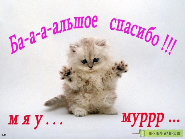 13b11c516f433ef70956f511b49655ed.jpg