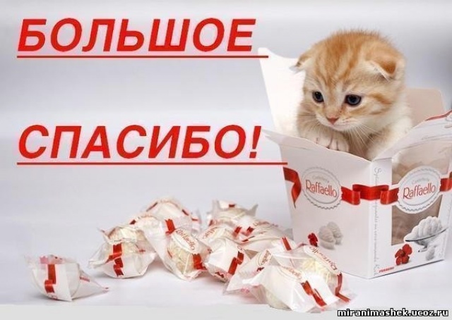 ef4b3ddff19a74e851302316f6e8dd87.jpg