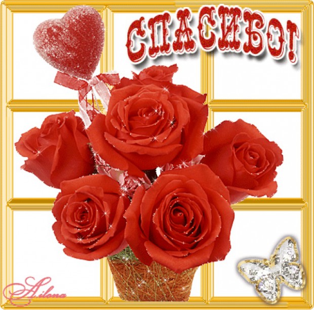 88fdb1052d05e614b6a160bd3a8982fe.jpg