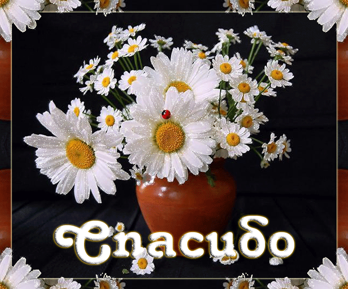 fe75e2afb08e284587b6639b0d17553e.gif