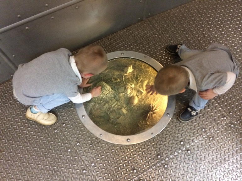 Поход в музей Дарвина