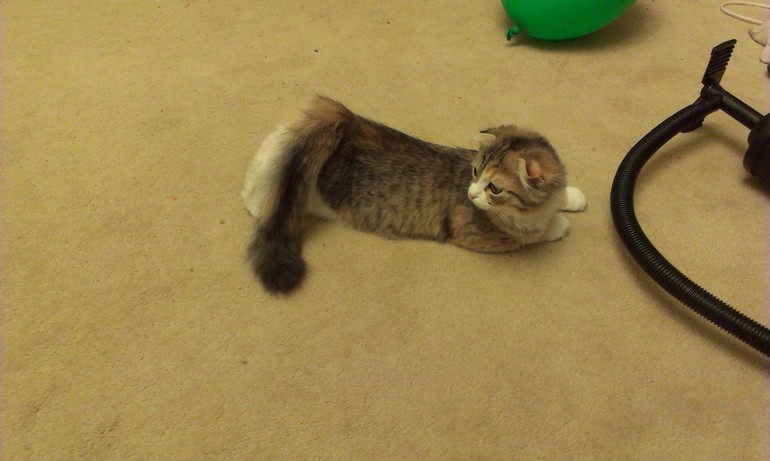 Девочка созрела???