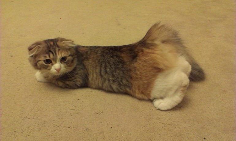 Девочка созрела???