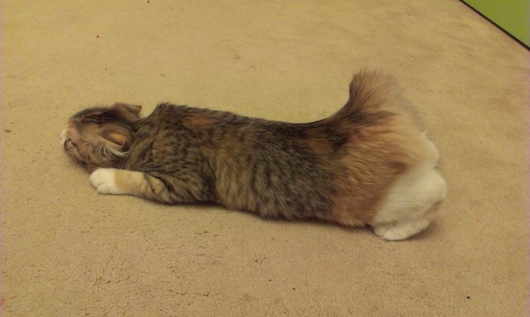 Девочка созрела???