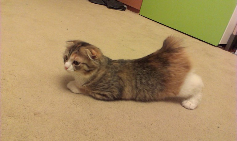 Девочка созрела???