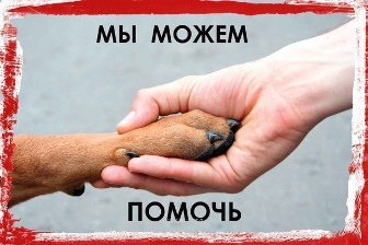 Почему многоразовые подгузники?