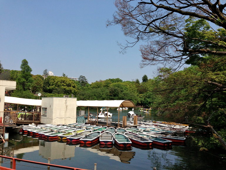 Inokashira Park...