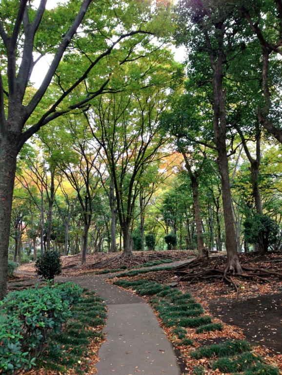 Осенняя прогулка...