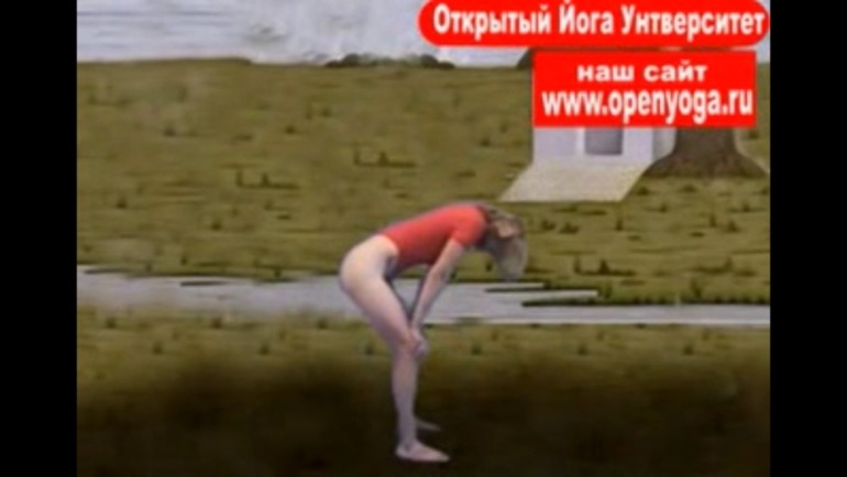 Йога... (список асан)