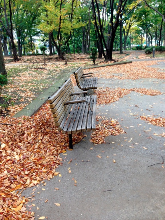 Осенняя прогулка...