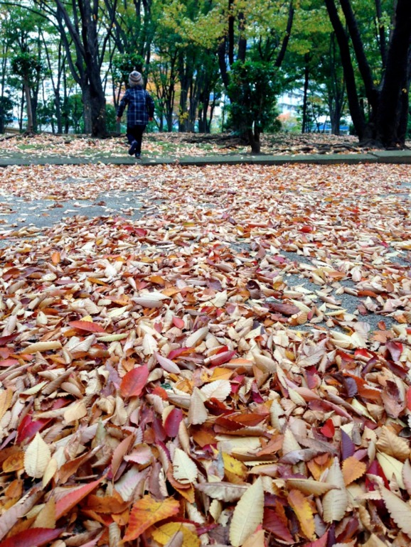 Осенняя прогулка...