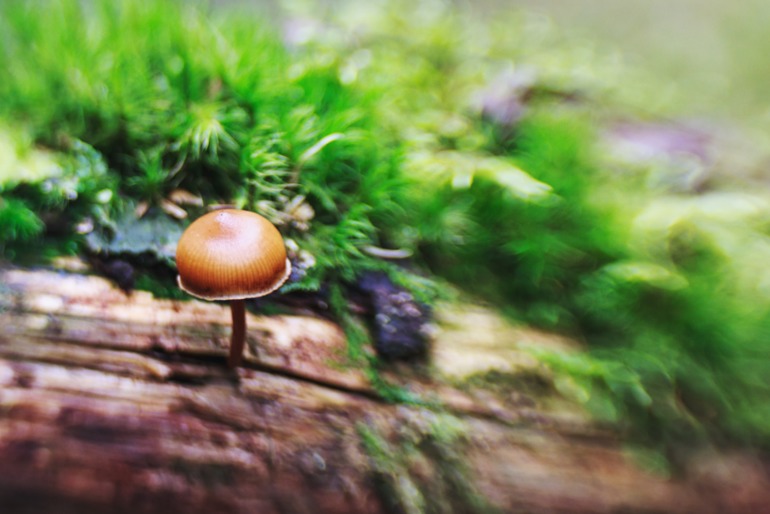 Фотографический сентябрь