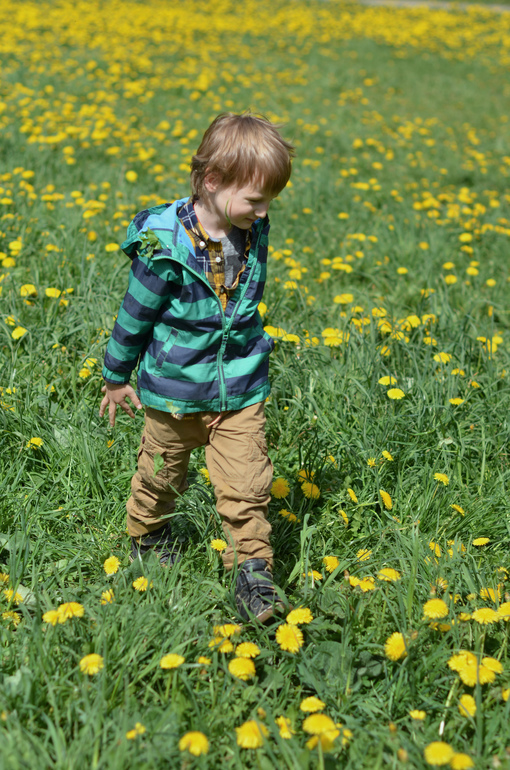 про Арсюньку