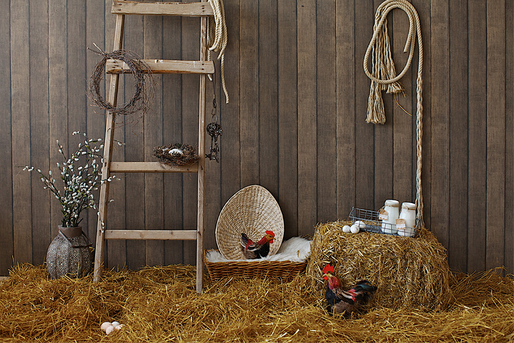 Новогодняя фотосессия