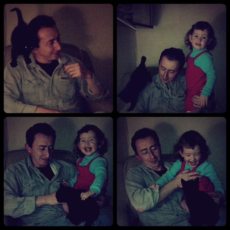 ревнует к коту