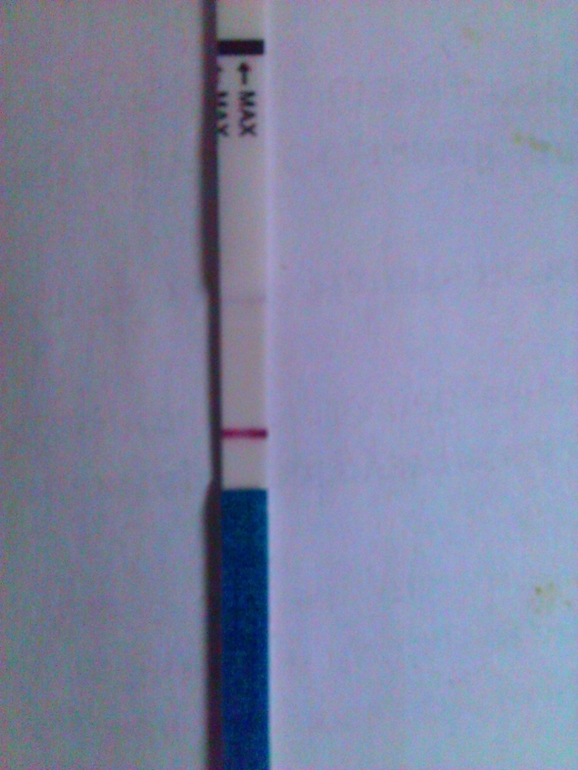 как и обещала