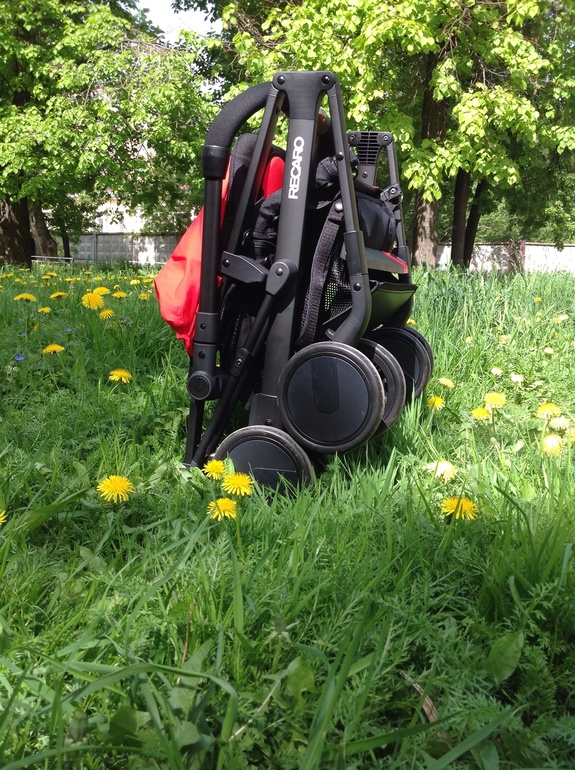 Аленький цветочек RECARO Easylife