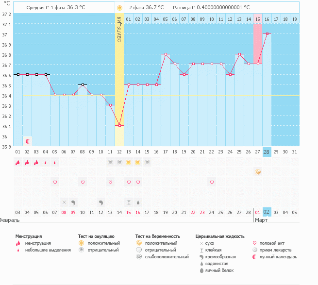 Беременный график БТ