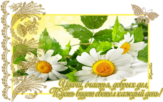 2c6843def8c1e614a56b89c268f303ec.png