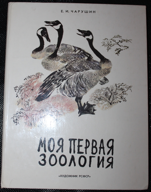 Моя первая зоология читать. Книга моя первая Зоология. Моя первая Зоология про птиц 3. Книга моя первая Зоология про птиц 3. Книга моя первая Зоология только про птиц.