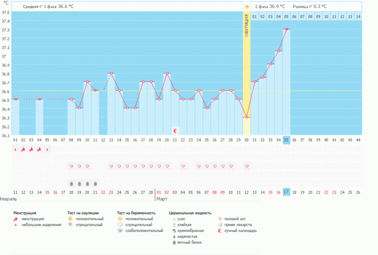 Поздняя овуляция, что ждать?