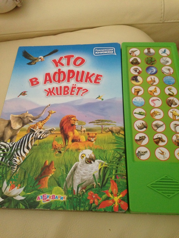 Наши самые любимые книги