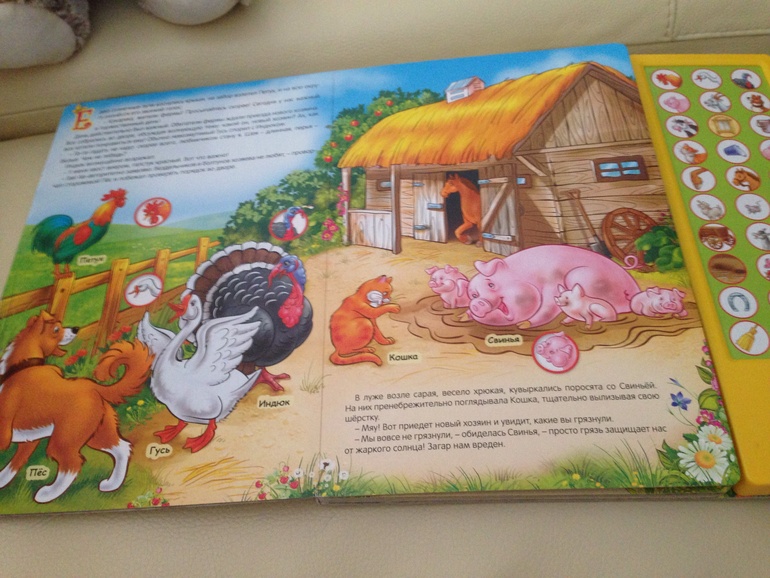 Наши самые любимые книги