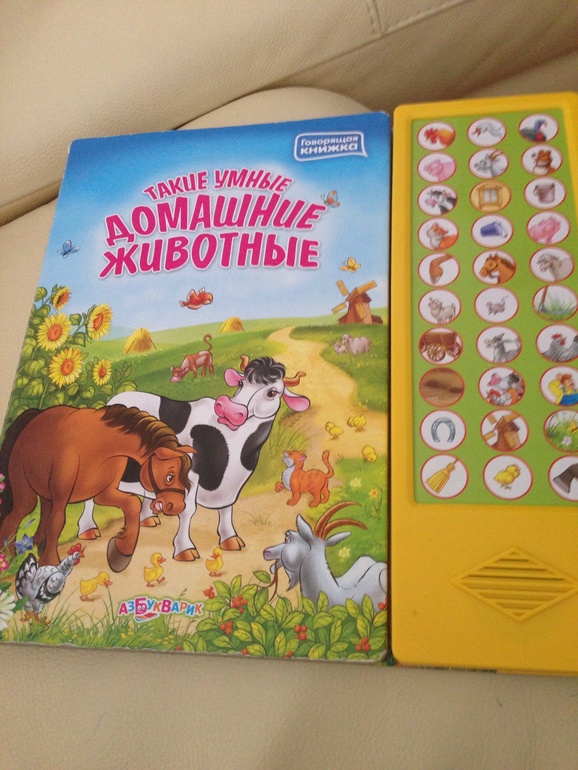 Наши самые любимые книги