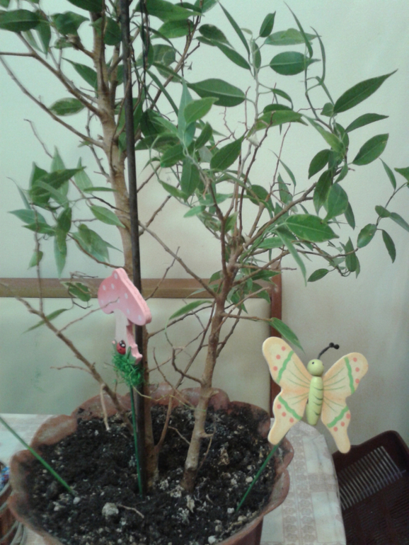 Девочки, помогите с прической цветику)))