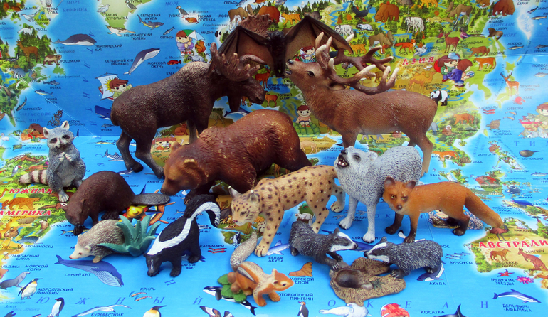 Коллекция животных. Schleich косуля 14710. Collecta набор обитателей леса. Фигурки Schleich обитатели лесов Северной Америки 41456.