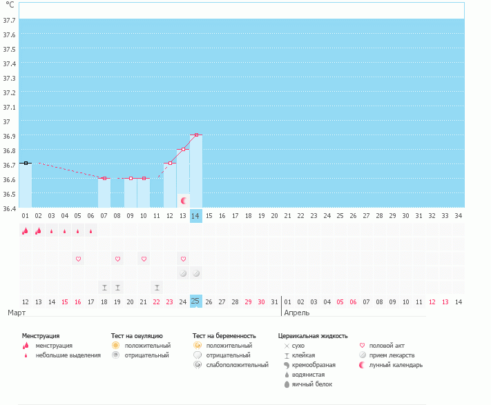 По узи овуляция уже была, почему программа ее не поставила?