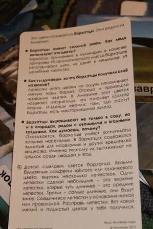 Мир на ладошке. Карточки