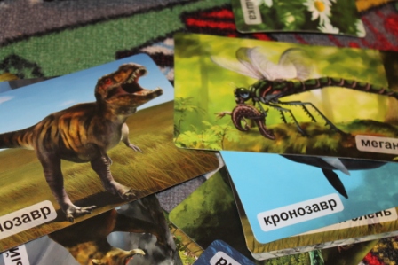 Мир на ладошке. Карточки