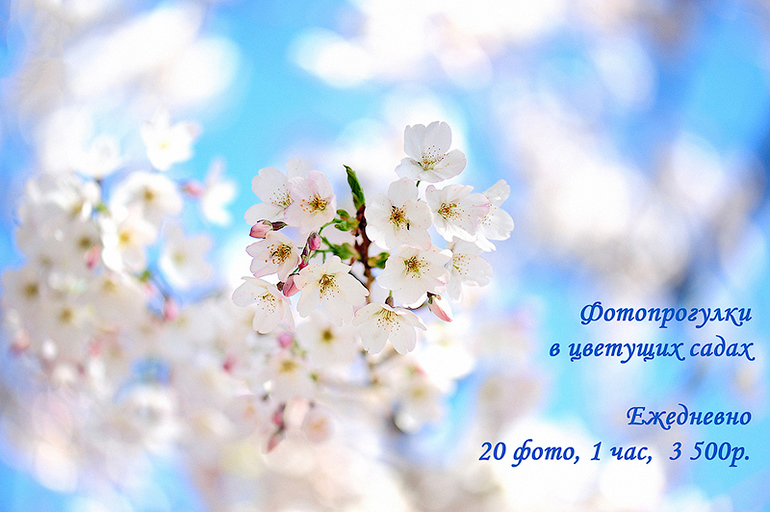 Весенние фотопрогулки - 3500р Москва